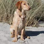 Forsthaus Wendt * Timmendorfer Strand