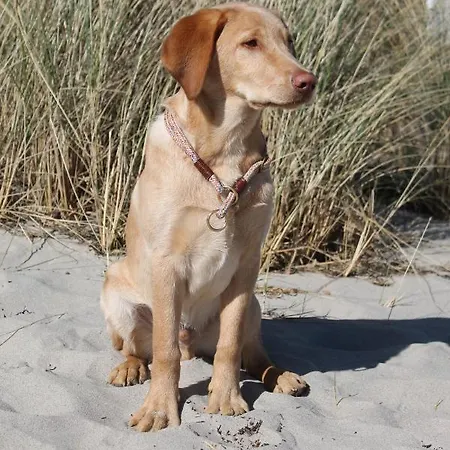 Forsthaus Wendt * Timmendorfer Strand