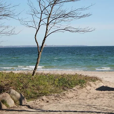 Daire Forsthaus Wendt