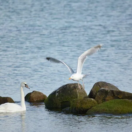 Forsthaus Wendt Daire