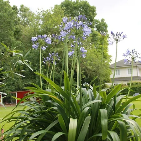 Forsthaus Wendt Daire Timmendorfer Strand